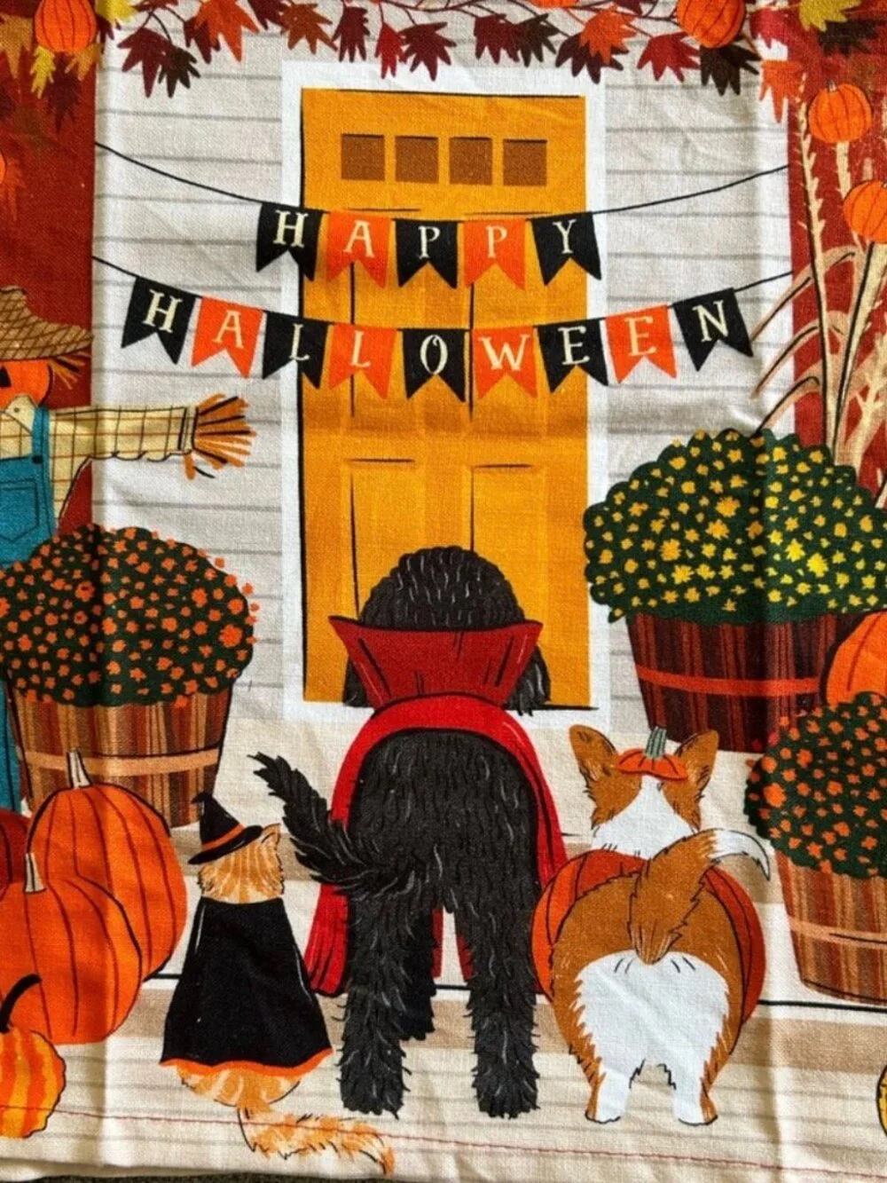Anthropologie Peek-A-Boo Dish Towel